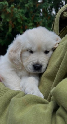 MEET BABY: This is a much antisapated ANNOUNCEMENT